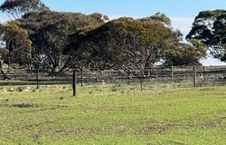 Portion of 820 Green Road, Ettrick, SA 5253