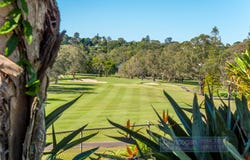 5 Tathra Glen, Ocean Shores, NSW 2483