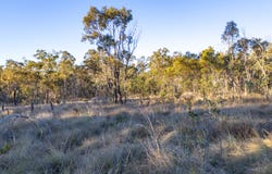 (Lot 13) - 45 Walkers Rd, Ballogie, Qld 4610