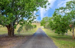 853 Gresford Road, Mitchells Flat, NSW 2330
