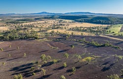 Lot 88 Flohrs Road, Dululu, Qld 4702