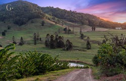 1207 Kandanga Creek Road, Upper Kandanga, Qld 4570