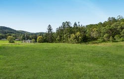 169 Dunns Road, Wolffdene, Qld 4207