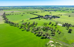 'Pastoria Park' 205 Balldale Road, Hopefield, NSW 2646