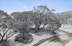 115 Big Muster Drive, Dinner Plain, Vic 3898