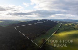 1705 Ngapala Road, Ngapala, SA 5374