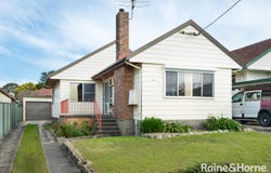 6 Vera Street, Waratah West, NSW 2298