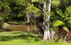 60A Kingsvale Road, Myocum, NSW 2481