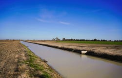 _ Tutchewop Hill, Kelly Ash, Kelly's, Berkshire & Hawkings, Lake Boga, Vic 3584