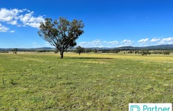 205 Gidley-Appleby Road, Tamworth, NSW 2340