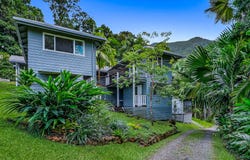 94 Nicole Drive, Cape Tribulation, Qld 4873