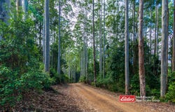 Off Thunderbolts Way, MARES RUN via, Gloucester, NSW 2422