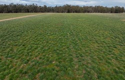 193 McPhillamys Lane, Forbes, NSW 2871