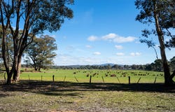536 Muckleford-Castlemaine Road, Muckleford, Vic 3451