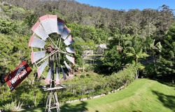 31 Pinetree Court, Mudgeeraba, Qld 4213