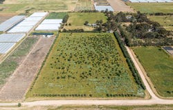 Lot 8 Tower Road, Lewiston, SA 5501