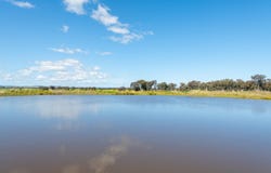 535 Barryrennie Road, Cowra, NSW 2794