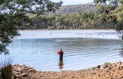 Lot 1 & 2, 172 Woodwards Bay Road, Bradys Lake, Tas 7140