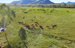 6854 Flinders Highway, Mingela, Qld 4816
