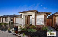 12 Liwen Street, Clyde North, Vic 3978