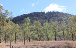 6341 Bruxner Way, Tenterfield, NSW 2372