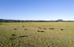 Valdora, Qld 4561