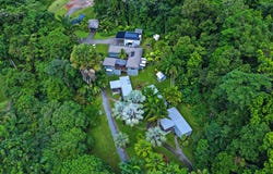 94 Nicole Drive, Cape Tribulation, Qld 4873