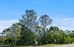 507-515 Waterford Tamborine Road, Buccan, Qld 4207