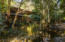 894 Cedar Creek Road, Cedar Creek, Qld 4520