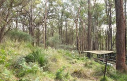 930 Freemans Drive, Cooranbong, NSW 2265