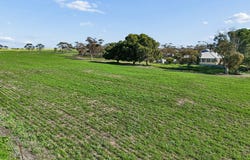 395 Blacket Road, Wynarka, SA 5306