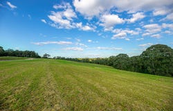 Peartree Hill Road, Kurrajong, NSW 2758