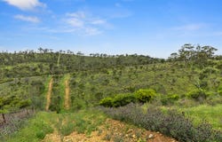 125 Emu Flat Road, Emu Flat, SA 5453