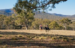 1035 Jerangle Road, Bredbo, NSW 2626
