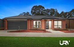 15 Dragonfly Drive, Seymour, Vic 3660