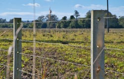 440 Perkins Bridge Road, Greenridge, NSW 2471