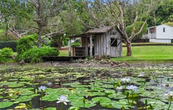 2756 Eumundi Kenilworth Road, Kenilworth, Qld 4574