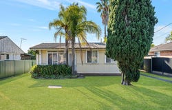 125 Wonga Road, Lurnea, NSW 2170