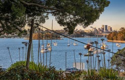13 Dobroyd Lane, Haberfield, NSW 2045