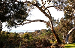 54 Waggon Road, Victor Harbor, SA 5211