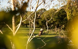 60 Somerset Circuit, Pimpama, Qld 4209