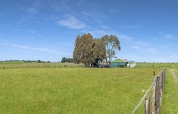 545 Willowmavin  Road, Willowmavin, Vic 3764