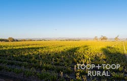 1404 Research Road, Ebenezer, SA 5355