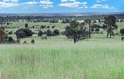 " Kooringa ", Roma, Qld 4455