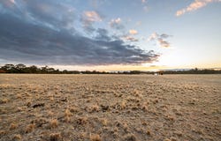 42 Palmer Lane, Inglewood, Vic 3517