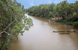 5 Nancy Bird Walton Drive, Narromine, NSW 2821