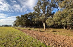 Millears Road, Deniliquin, NSW 2710