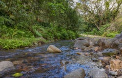 37 Retschlag Road, Sandy Creek, Qld 4515