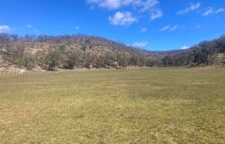 1950 FLAGGS ROAD, Gungal, NSW 2333