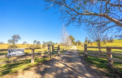 702 Wallanbah Road, Wallanbah, NSW 2422